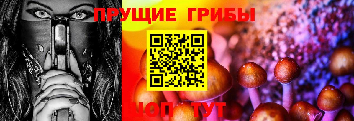 Отрадный  Галлюциногенные грибы Magic Shrooms  Вход с VPN 